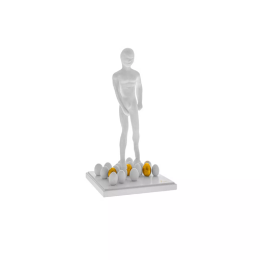 Figurines Collection