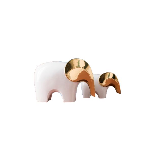 Bra Elephant Bicolor